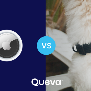 Queva vs. AirTag: Which One is Better for Your Dog?