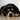 Dig Deep: What Your Dog’s Burrowing Behavior Reveals About Their Physical Comfort and Emotional Needs