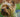 Eyes on Health: What Your Dog’s Vision Can Tell You About Their Overall Wellbeing