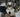 The Lean and the Lookaway: What Subtle Body Angles Reveal About Your Dog’s Skeletal Strain and Social Discomfort