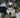 The Lean and the Lookaway: What Subtle Body Angles Reveal About Your Dog’s Skeletal Strain and Social Discomfort