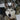 The Lean and the Lookaway: What Subtle Body Angles Reveal About Your Dog’s Skeletal Strain and Social Discomfort
