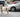 <h1>Ears Up, Health On: What Your Dog’s Ear Positioning Reveals About Their Wellbeing</h1>