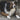 The Freeze-Frame Lick: What Your Dog’s Sudden Grooming Pauses Reveal About Neural Tension and Comfort Seeking