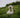 Ear Flicks and Focus Drifts: What Your Dog’s Sudden Sound Sensitivity Reveals About Auditory Health and Emotional Overload