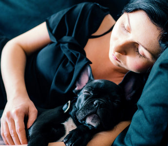 Blanket Bunching and Nesting Nerves: What Your Dog’s Blanket Rituals Reveal About Thermoregulation and Emotional Grounding