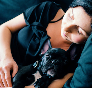 Blanket Bunching and Nesting Nerves: What Your Dog’s Blanket Rituals Reveal About Thermoregulation and Emotional Grounding