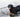 The Fetch Flinch: What Your Dog’s Hesitation to Retrieve Says About Shoulder Strain and Motivation Shifts