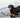 The Fetch Flinch: What Your Dog’s Hesitation to Retrieve Says About Shoulder Strain and Motivation Shifts