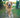 The Paw Press Pause: What Your Dog’s Sudden Stillness on Smooth Floors Reveals About Tendon Tension, Joint Slip Sensitivity, and Confidence in Movement