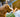 The Stare-and-Scratch Sync: What Your Dog’s Wall Watching and Fleeting Itches Reveal About Neural Overload and Skin-Brain Links