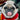 Whisker Shrugs and Window Gazes: What Your Dog’s Daydreaming Habits Reveal About Cognitive Health and Emotional Fulfillment