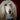 Temperature Tells: How Your Dog’s Body Heat Signals Health and Discomfort