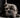 Spin Stops and Sudden Sits: What Your Dog’s Abrupt Playtime Pauses Reveal About Joint Micro-Strain and Emotional Self-Regulation