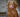 Paws and Pressure Points: How Your Dog's Favorite Sleeping Spots Reveal Muscular Stress and Hidden Discomfort