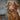 Paws and Pressure Points: How Your Dog's Favorite Sleeping Spots Reveal Muscular Stress and Hidden Discomfort