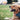 Twitch Talk: What Your Dog’s Sleep Spasms Reveal About Their Brain Health and Dream State