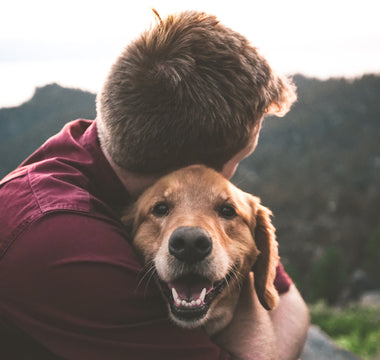 Sighs and Side-Eyes: What Subtle Expressive Cues Reveal About Your Dog’s Emotional and Physical Wellbeing