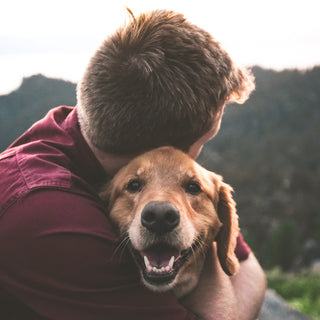 Tail-End Tremors: What Your Dog’s Subtle Rear Shivers Reveal About Nerve Health and Confidence Challenges