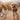 Ear-Scratch Clues: What Your Dog’s Itchy Ears Say About Allergies, Infections, and Overall Health