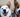 Tongue Tales: What Your Dog’s Licking Habits Reveal About Their Health and Emotions