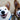 Tongue Tales: What Your Dog’s Licking Habits Reveal About Their Health and Emotions