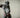 The Staircase Standoff: What Your Dog’s Stair Hesitation Reveals About Spine Strength, Confidence Barriers, and Aging Signs