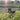 The Collar Catch: What Your Dog’s Reluctance at Leash-Up Time Reveals About Neck Sensitivity, Past Stress Triggers, and Emotional Boundaries