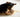Mood Munchies: What Your Dog’s Cravings and Eating Quirks Reveal About Their Emotional and Physical Health