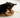 Mood Munchies: What Your Dog’s Cravings and Eating Quirks Reveal About Their Emotional and Physical Health