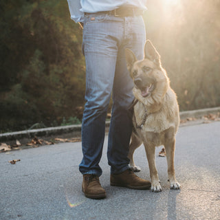 Ear Flicks & Head Ducks: What Your Dog’s Reaction to Touch Reveals About Skin Sensitivities, Nerve Health, and Emotional Boundaries