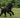 The Still-Step Startle: What Your Dog’s Pause Before Doorway Exits Reveals About Hind Leg Readiness and Environmental Anxiety