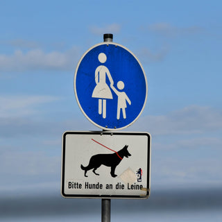 Side-Sitters & Slouchy Stances: What Your Dog's Lounge Style Reveals About Spine Health, Core Strength, and Emotional Posture