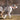 The Couch Cling and Corridor Peek: What Your Dog’s Doorway Dwelling Reveals About Joint Hesitation and Emotional Attachment