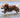 The Sidewalk Swerve: What Your Dog’s Sudden Walk Detours Reveal About Paw Sensitivity, Nerve Awareness, and Emotional Mapping