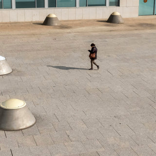 Passive Paws & Quiet Quirks: What Low-Energy Behavior Reveals About Your Dog’s Thyroid, Mood, and Motivation