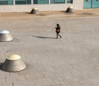 Passive Paws & Quiet Quirks: What Low-Energy Behavior Reveals About Your Dog’s Thyroid, Mood, and Motivation