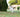 Sniff Swirls & Leash Pauses: What Your Dog’s Sidewalk Saunters Reveal About Nasal Flow, Gait Precision, and Emotional Curiosity Regulation