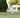 Sniff Swirls & Leash Pauses: What Your Dog’s Sidewalk Saunters Reveal About Nasal Flow, Gait Precision, and Emotional Curiosity Regulation