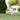 Sniff Swirls & Leash Pauses: What Your Dog’s Sidewalk Saunters Reveal About Nasal Flow, Gait Precision, and Emotional Curiosity Regulation