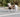 Tongue Trails & Toe Tenses: What Your Dog’s Post-Walk Floor Flops Reveal About Leg Drainage, Tactile Feedback, and Emotional Grounding