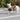 Tongue Trails & Toe Tenses: What Your Dog’s Post-Walk Floor Flops Reveal About Leg Drainage, Tactile Feedback, and Emotional Grounding