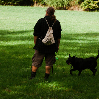 Tail Tension: How Your Dog's Tail Stiffness Reveals Stress, Pain, and Underlying Health Issues