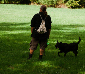 Tail Tension: How Your Dog's Tail Stiffness Reveals Stress, Pain, and Underlying Health Issues