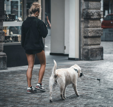 Muzzle Memories: How Your Dog’s Chewing Style Can Reveal Cognitive Aging and Emotional Shifts