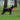 Sighs, Slinks, and Side-Eyes: What Subtle Avoidance Behaviors Reveal About Your Dog’s Emotional Health