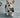 Head Tilts & Tilt Tells: How Your Dog's Curious Angle Reveals Inner Ear Health, Attention, and Emotional Insight