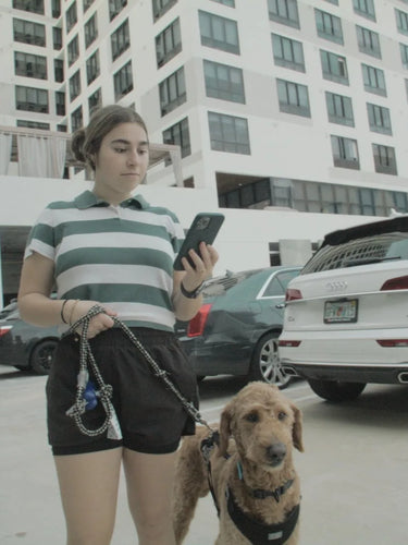 Golden Doodle wearing a Queva Smart Dog collar with women in Miami